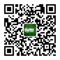 12200313 努丽雅9盎司1千个：tb49215130 一次性定制纸杯、一次性广告纸杯设计图