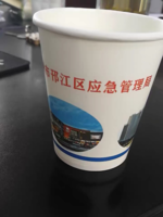 12200722沈阳恒发轴承 9盎司5千个：dfy4011 一次性定制纸杯、一次性广告纸杯设计图