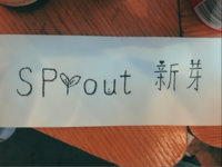 12200903 7盎司1千个：prince毒药 一次性定制纸杯、一次性广告纸杯设计图
