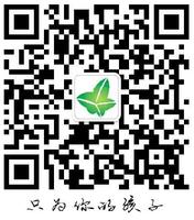 122009209盎司1千只：lovelydreamrs 一次性定制纸杯、一次性广告纸杯设计图