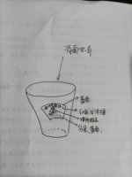 12210407 9盎司2千个：哪儿哪儿0878 一次性定制纸杯、一次性广告纸杯设计图