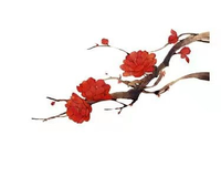 13191008 友谊之手9盎司1000个：乐祥皮草 一次性定制纸杯、一次性广告纸杯设计图