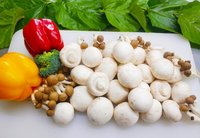 132101113 9盎司1千个：美丽的微笑8997 一次性定制纸杯、一次性广告纸杯设计图