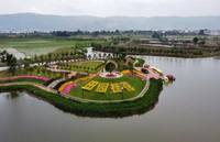 12220504 12盎司：大鱼吃小鱼515140766（微信） 一次性定制纸杯、一次性广告纸杯设计图