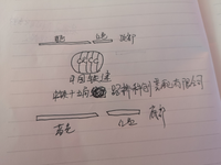 https://tcs.teambition.net/thumbnail/312ke620c434512369bb8f51c1c118c03d29/w/200/h/200纸杯定做 设计图附件