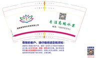12240402海南善缘果业贸易有限公司9盎司加厚1千：风子姑娘不是风（定稿改） 一次性定制纸杯、一次性广告纸杯设计图