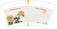 12240726 14盎司：qicheng1926 一次性定制纸杯、一次性广告纸杯设计图