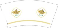 3141124 雯辰堂 9盎司1000个：241124-632170749483587 一次性定制纸杯、一次性广告纸杯设计图