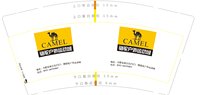 3141127 骆驼户外运动城 9盎司1000个：241127-308228985260823 一次性定制纸杯、一次性广告纸杯设计图