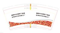 12241125南阳市社旗县下洼镇王海龙花生米9盎司1千：王林玉521 一次性定制纸杯、一次性广告纸杯设计图