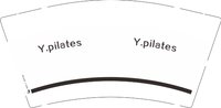12241218 Y.pilates 9盎司加厚1千个：tb9974839240 一次性定制纸杯、一次性广告纸杯设计图
