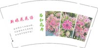 3141211 新娘花花语 9盎司专版1000个：241211-040883986031914 一次性定制纸杯、一次性广告纸杯设计图