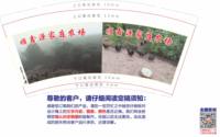 12250103（再改）顺鑫源家庭农场9盎司加厚1千：19881207zl 一次性定制纸杯、一次性广告纸杯设计图