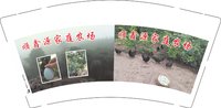 12250103（再改）顺鑫源家庭农场9盎司加厚1千：19881207zl 一次性定制纸杯、一次性广告纸杯设计图