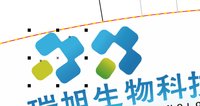 12250507瑞旭生物科技 9盎司1000个：姚美丽up（微信） 一次性定制纸杯、一次性广告纸杯设计图