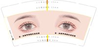 12250620沫•白美甲美睫化妆纹绣 9盎司1000个：棒棒糖果味6 一次性定制纸杯、一次性广告纸杯设计图