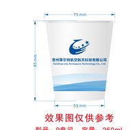 12250722 贵州莱尔特航空航天科技有限公司 9盎司加厚1千个：黎婧1698 一次性定制纸杯、一次性广告纸杯设计图