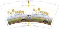（印500修白杯）3140728 昆仑星空大合唱 9盎司1000个：250728-252093407000542 一次性定制纸杯、一次性广告纸杯设计图