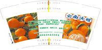 12251014云南沃柑9盎司加厚1千个：66我从草原来 一次性定制纸杯、一次性广告纸杯设计图